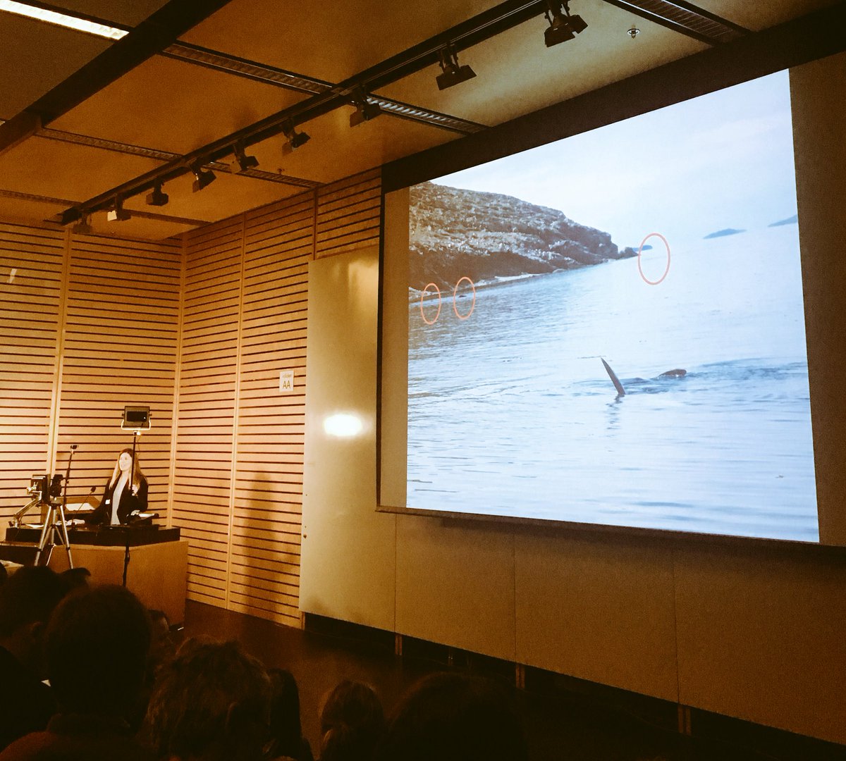 melanie_ang's tweet photo. @SFortuneSea with some surreal drone videos and stories about molting and rock rubbing behaviour in bowhead whales in the Arctic #bcmms25 https://t.co/ijAxVUZMRe