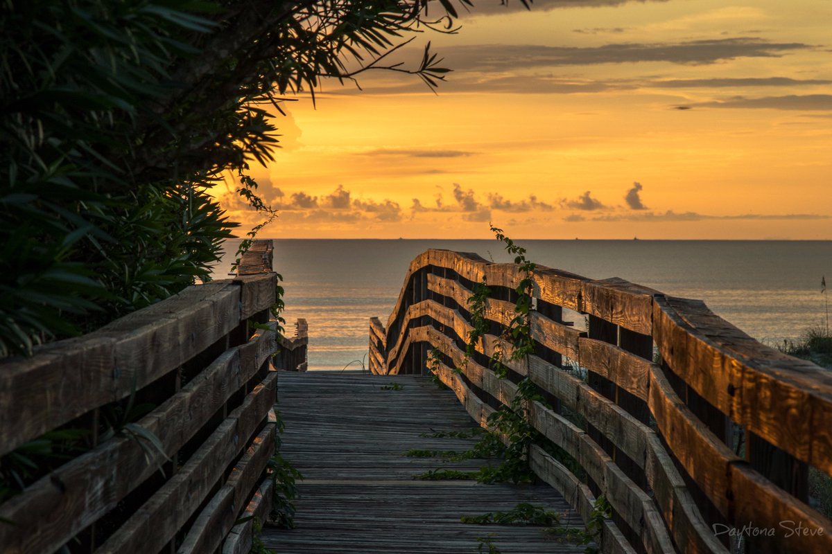 RollWithSoul's tweet image. One of my faves. daytonasteve.com @RealSaltLife @nytimesphoto