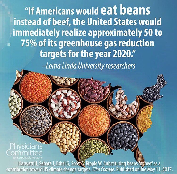 The power of plants can save the planet #cowspiracy #plantpower #animalagriculture #climatechange #goplantbased #loveyourmother repost@PCRM