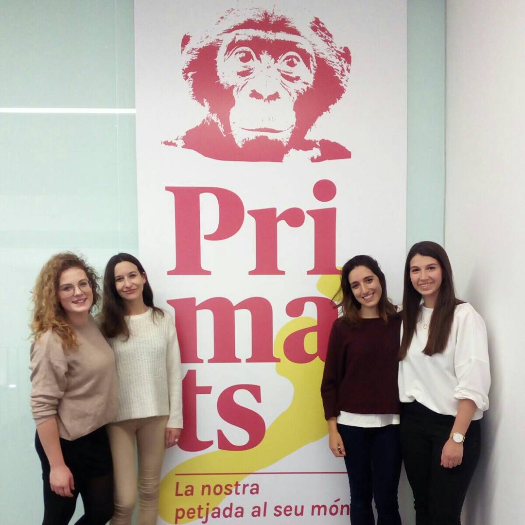 expoprimats's tweet photo. Exposició inaugurada! Super satisfetes amb el resultat😊 Podeu visitar-la al @mgciencies fins el 29 d'abril. #primates #conservacion https://t.co/Umo1xT9aB7