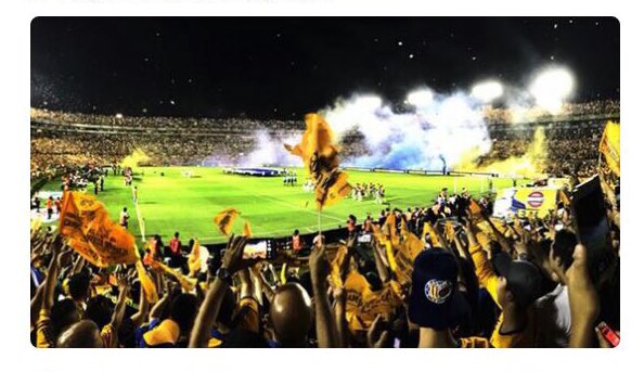 TigresOficial's tweet photo. @dianardzl @noravmoliina @DanniaconD Mira el trabajo de nuestras participantes (en el orden mencionado) y elige a tu favorita. #TigresEnInstagram https://t.co/f47aFzSXfF