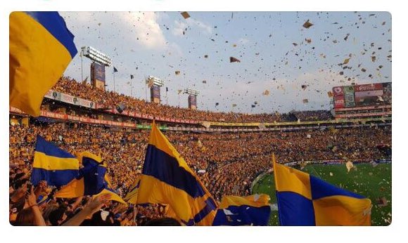 TigresOficial's tweet photo. @dianardzl @noravmoliina @DanniaconD Mira el trabajo de nuestras participantes (en el orden mencionado) y elige a tu favorita. #TigresEnInstagram https://t.co/f47aFzSXfF