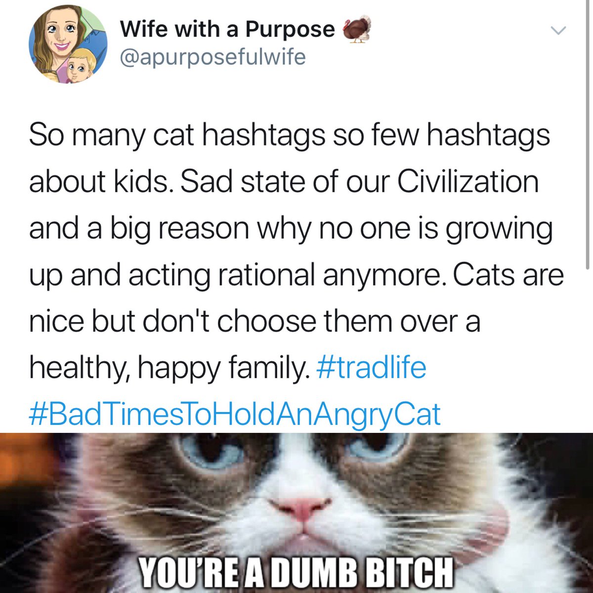 LadyLQueefs's tweet photo. #BadTimesToHoldAnAngryCat #TradLife #HashtagsAreReallyFuckingImportant #TwitterIsMyLife #HomeschoolMyKids #ILostMyVerifiedStatusBecauseImANazi #DontCallMeANazi #IfYouMustHaveACatHaveAWhiteCat https://t.co/Yh0pzrUmLJ