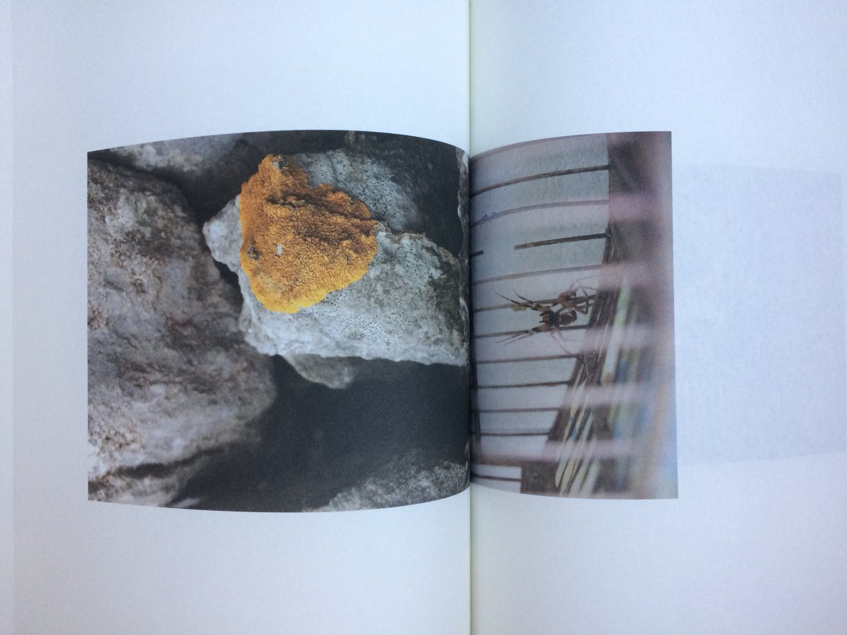 BraceyAndrew's tweet photo. Look what popped through my letterbox this morning...wonderful book by mighty @dumas0 and #AnnaChystalStephens...complete with plastic slipcase #bathtimereading https://t.co/6loB8jwhcP