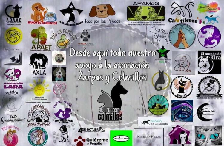 ZarpasyColmillo's tweet photo. Gracias a todas las protectoras y particulares que nos están apoyando en estos momentos tan difíciles. Gracias a vosotros intentaremos salir adelante como nos sea posible... No sabéis lo importante que es esto para mí. GRACIAS https://t.co/PaY1E9IRom