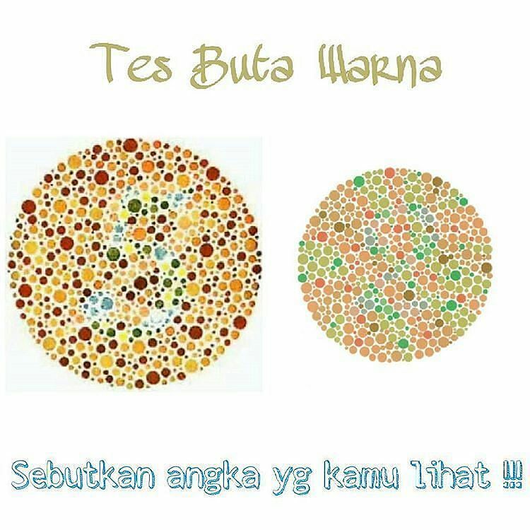 kopihitam_108's tweet photo. https://t.co/YtoOfwmD5f buta warna
#secangkirkopihitam
โโโโโโโโ
#testbutawarna #bangkitink #test #warna #testmata #gambar https://t.co/4K8x9lOf5l