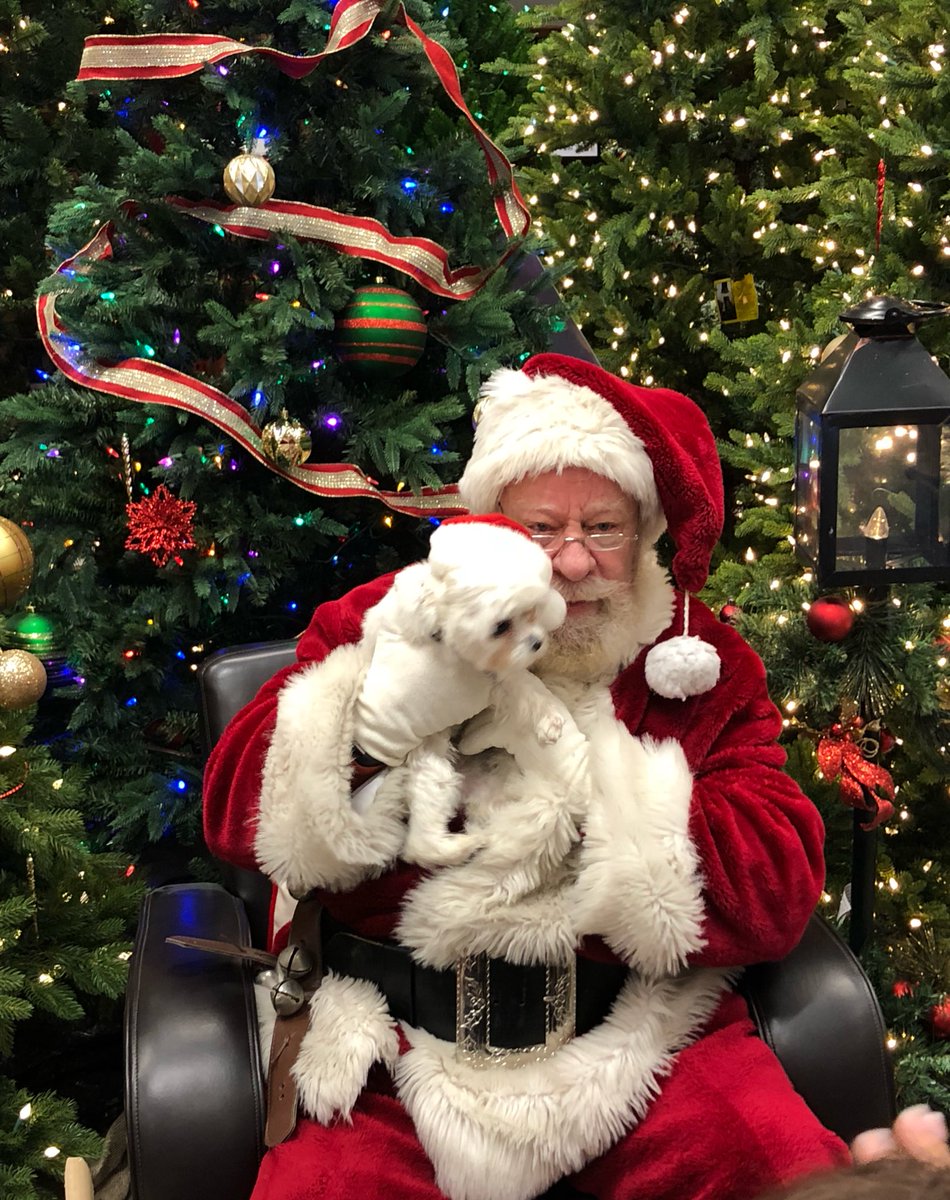bridgetanne27's tweet photo. Santa has arrived in Newburgh!! #1250Proud #hohoho #iknowhim #santa https://t.co/MKZzinD7zX