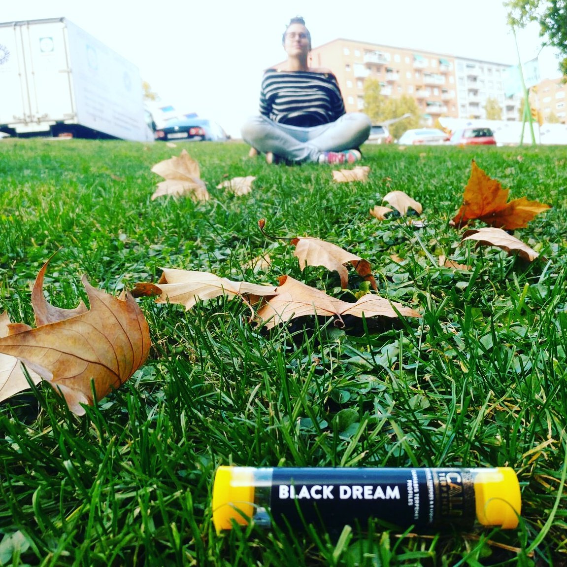Cali_Terpenes's tweet photo. 🕉Always in peace with @caliterpenes 🕉 #caliterpenes #cali #terpenes #terpenos #blackdream #terps #realterps #naturalterpenes #terpenesprofiles #pureterps #topquality #vape #dabs #concentrates #ecigs #vapepens #dabpens #cbd #foods #eliquids #drinks #aromatherapy https://t.co/7jcJC3dPnk