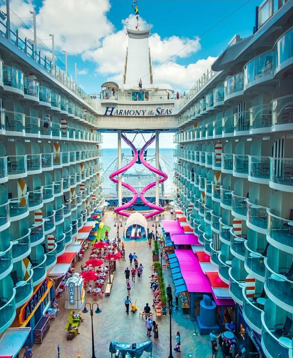 ⚓️Cruise Follower 🚢 tweet media