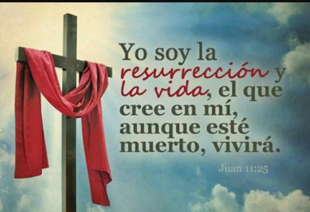 🎀AMORDEDIOS🎀 on Twitter: "Le dijo Jesús: Yo soy la resurrección y la  vida; el que cree en mí, aunque esté muerto, vivirá. Y todo aquel que vive  y cree en mí, no