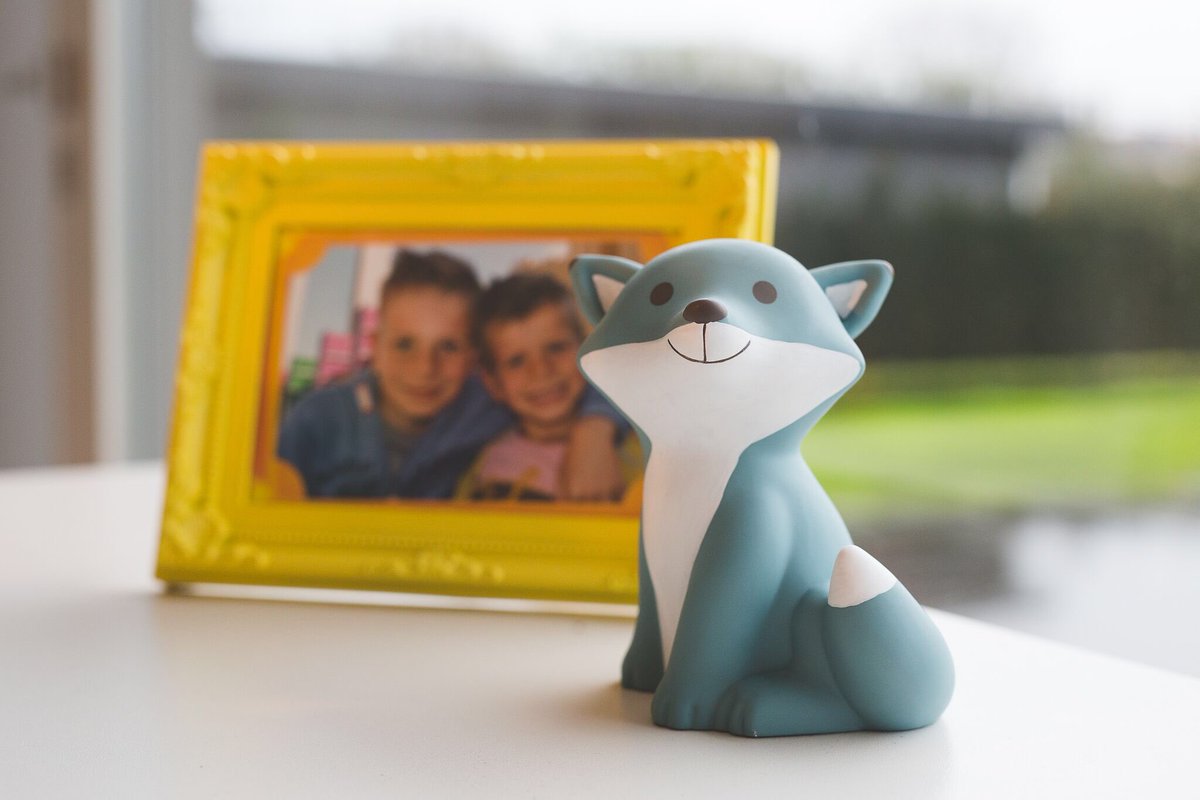 QualyandCo's tweet photo. Hey !! You can feed me by coin : )  🦊⛺️ visit https://t.co/ZruBdXOf88 or dm us to get more detail. #atelierpierre #cesar #cesarfox #design #decorations #home #homedecoration #cute https://t.co/RpNmdaILWS