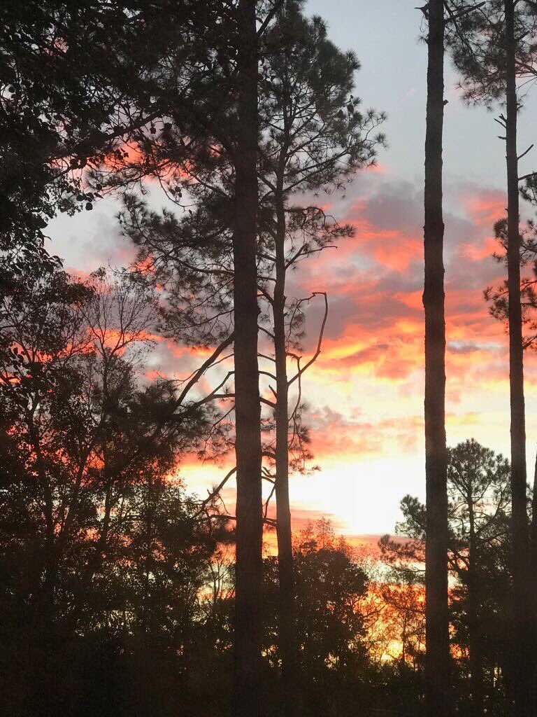 uga2uk's tweet photo. Thankful for a great week in South GA. A view worthy of the moniker #sunshallshine https://t.co/M4Di1Va623