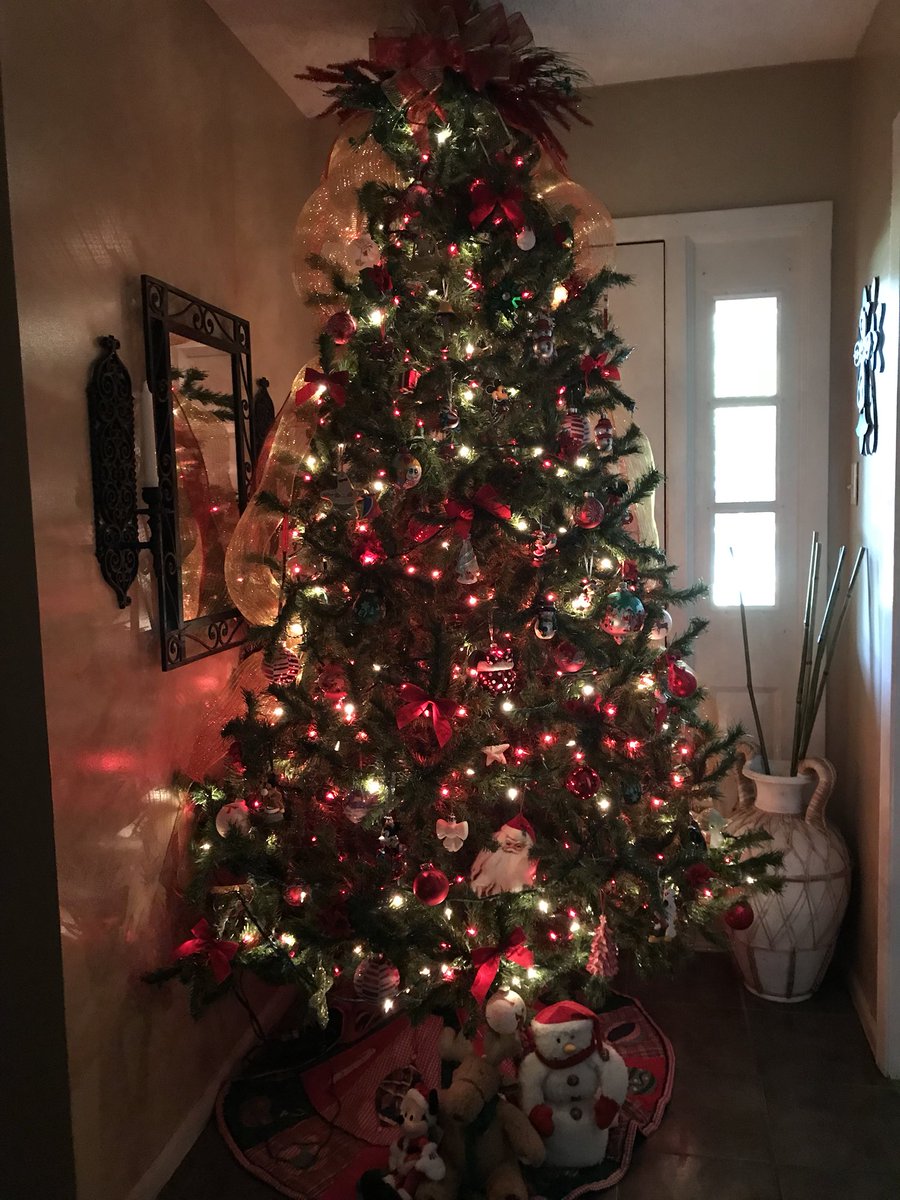 eecctravels's tweet photo. It’s officially Christmas time!  Our tree and all interior decorations are up. We just love this time of year!!! 🌲❤️🌲
.
.
#christmastree #christmas #christmastime #beatifultree #familytime https://t.co/SzL7pDs6ng