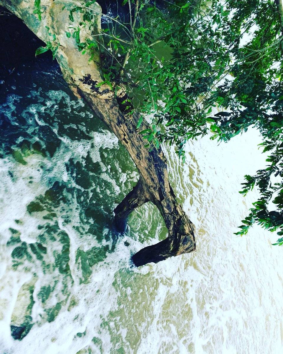 DeedatNawfer's tweet photo. #Weekend #Adventurous #Visit #BeautyOfCoupleRedFlowers #FlowOfWater 💦🌿🍀🌺 https://t.co/7mFCHqyp4f