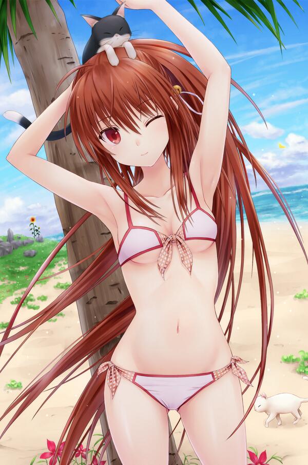 Anime bikini pic