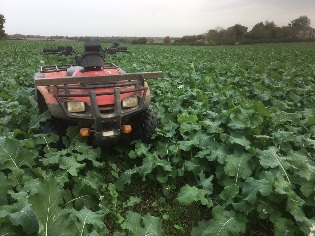 Greg_Outdoors's tweet photo. @bigasaphonebox @edd_banks01 @clubhectare2211 I could nearly lose my quad bike in this one! https://t.co/OCKvSK8awY