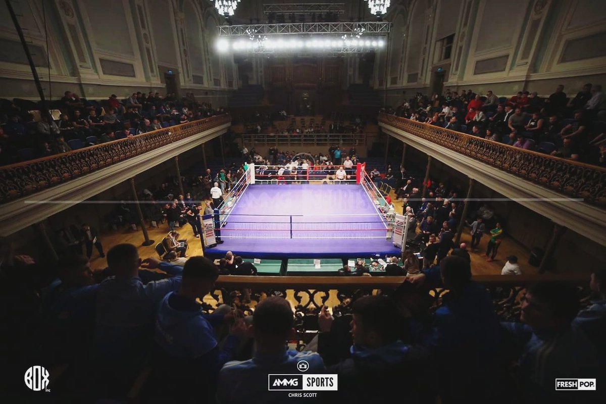 Tenchu Sports™ tweet media