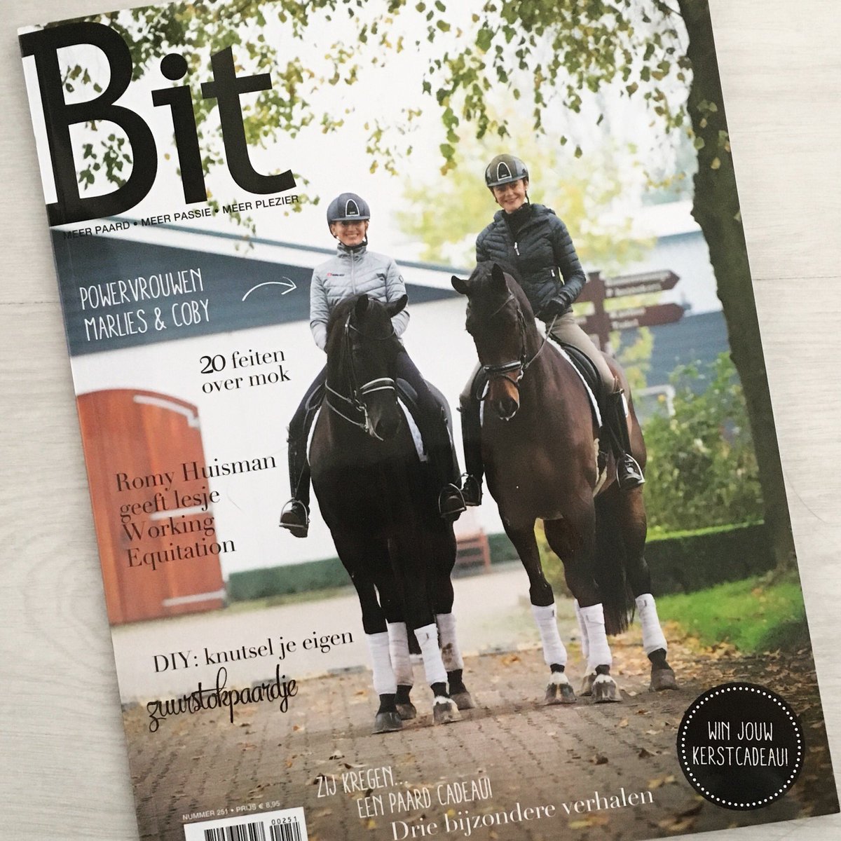 paardverzameld's tweet photo. Trots!! Vanaf nu iedere maand prachtige paardenkunst in Bit! Paard Verzameld & Bit = Bucketlistwish. @Bitpaarden #kunst #Bit #Bitmagazine https://t.co/kScOInmCUj