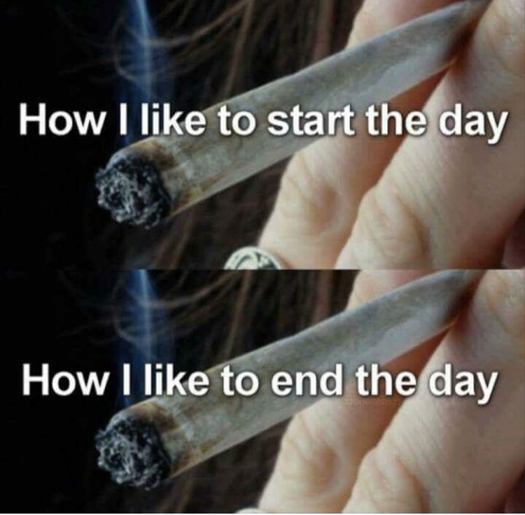 kkp_members's tweet photo. Start the day off right. #kkp_members #indica #weed #cannabis #sativa #thc #tetrahydrocannabinol #kush #ganja #stonerproblems https://t.co/HAraOkhjdg