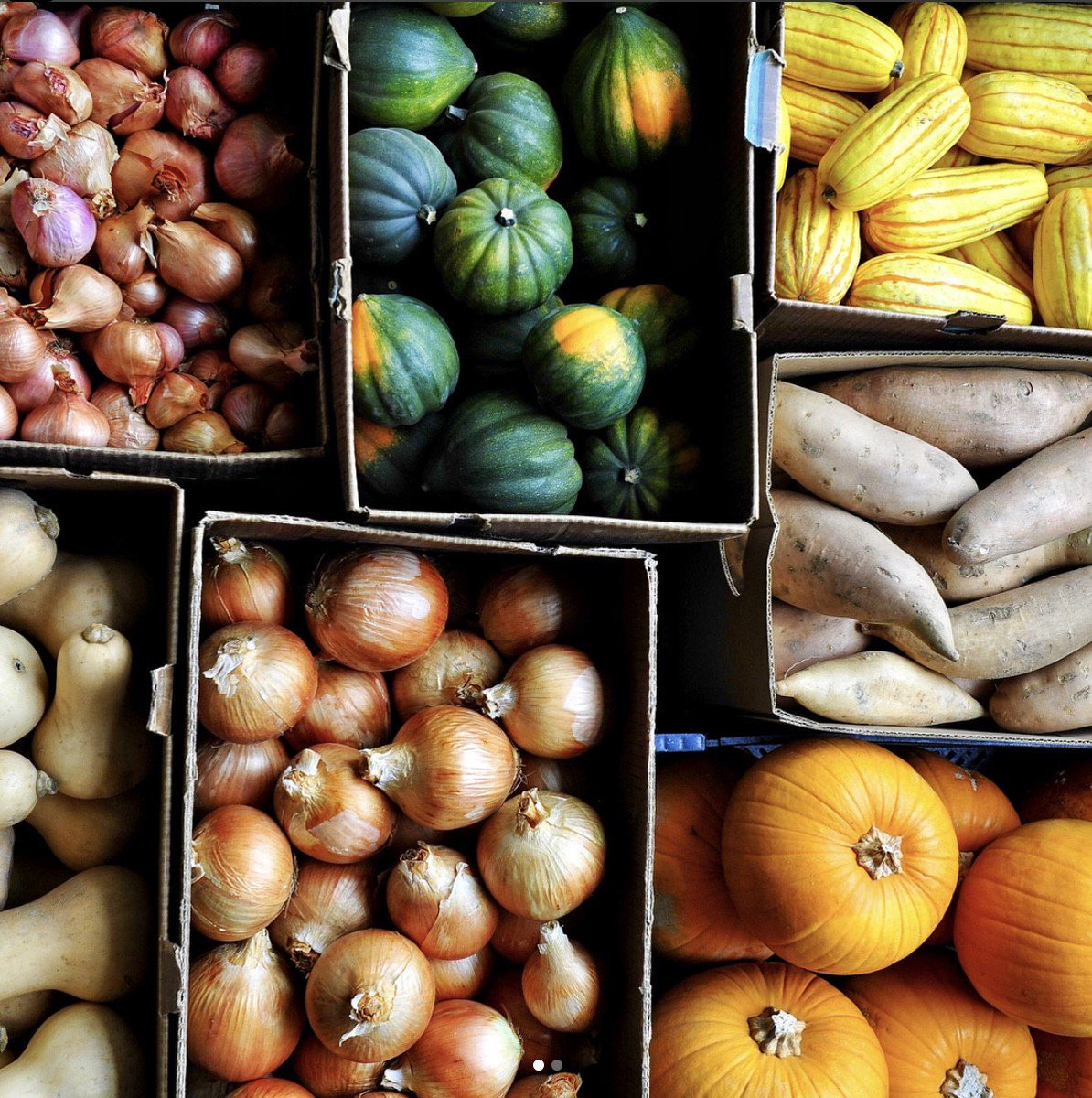 Whitney_Farms's tweet photo. All boxed in🍠🍈🍆🍅 #organicvegetables (📸: IG harvestsantabarbara) https://t.co/EccE1t4ezC