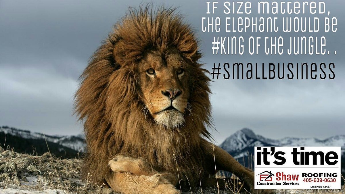 shawconstructi1's tweet image. Support #Local #SmallBusiness.We Paint, Gutter,InstallWindows,Brick,Fence,Tile WoodFloors,Remodels,#WeDoEverything. #Oklahoma.Registered with the State&amp;amp; the CIB to roof legally.Insured for both of our protection.  
#SmallBusinessSaturday #WeRoofOklahoma #ShawConstructionServices