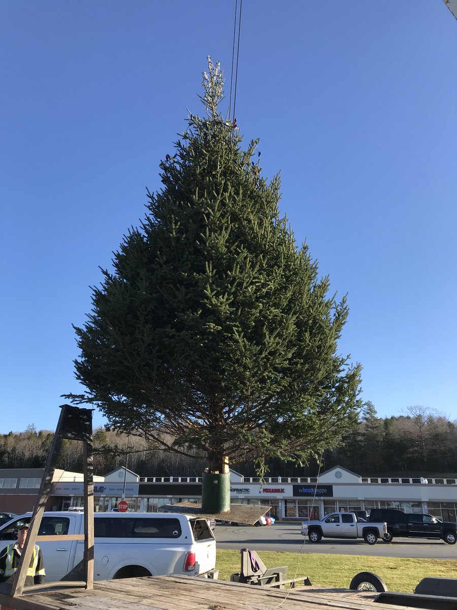 FRABA_NS's tweet photo. It’s beginning to look a lot like Christmas.  Join us for the Fall River Lion’s parade 1:00 Sunday Nov 26. Tree lighting Saturday Dec 2nd 6-8 pm https://t.co/fxKjPn26we https://t.co/2cfoHSgwON