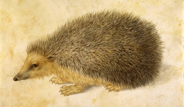 Green and Stone tweet media