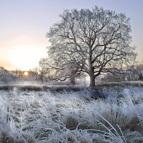 TheBellatStow's tweet photo. The Cotswolds is regarded as one of the most beautiful places in England. But if you can believe it, there's so much more here to do than take atmosphere alone! 
The best thing is you don't even have to be here at the weekend to find exciting adventures to spice up your getaway https://t.co/BK2LQC3SWr