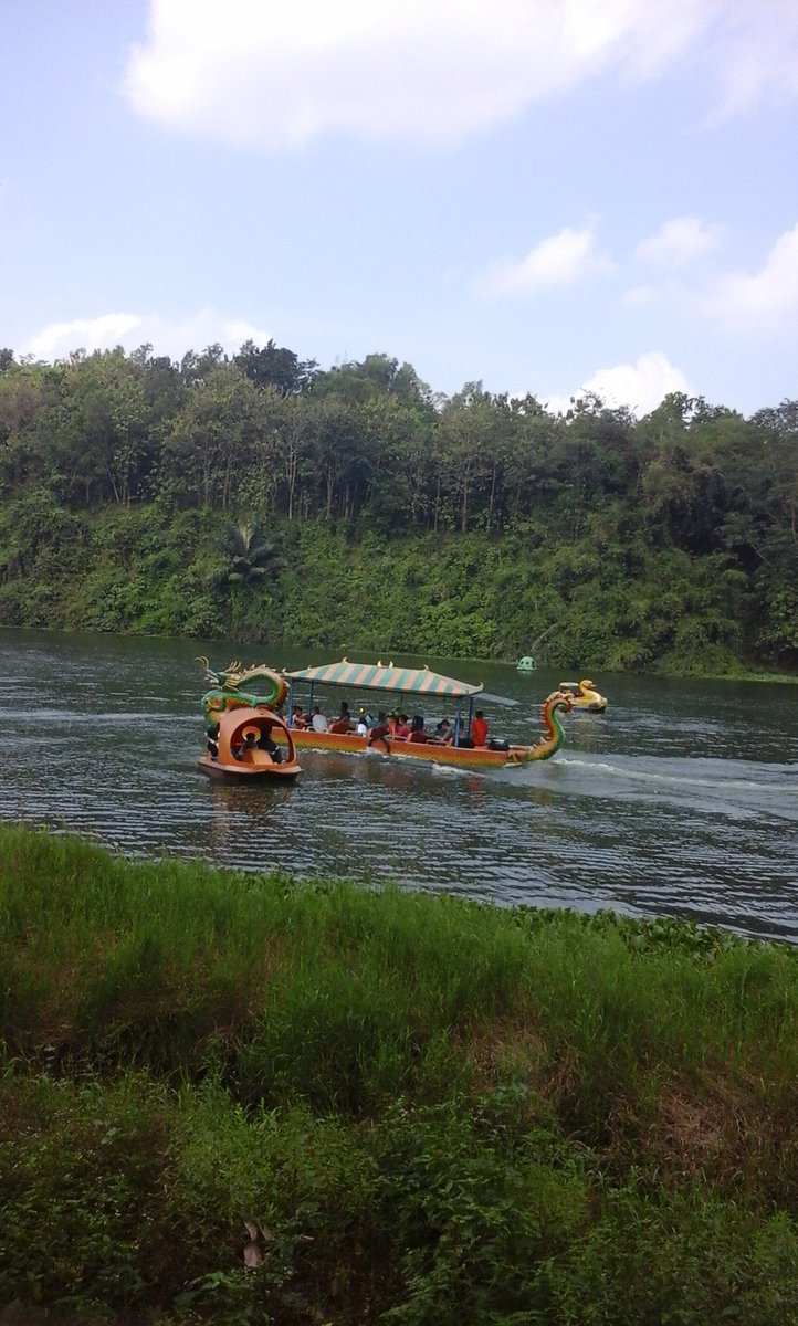 shendang tweet media