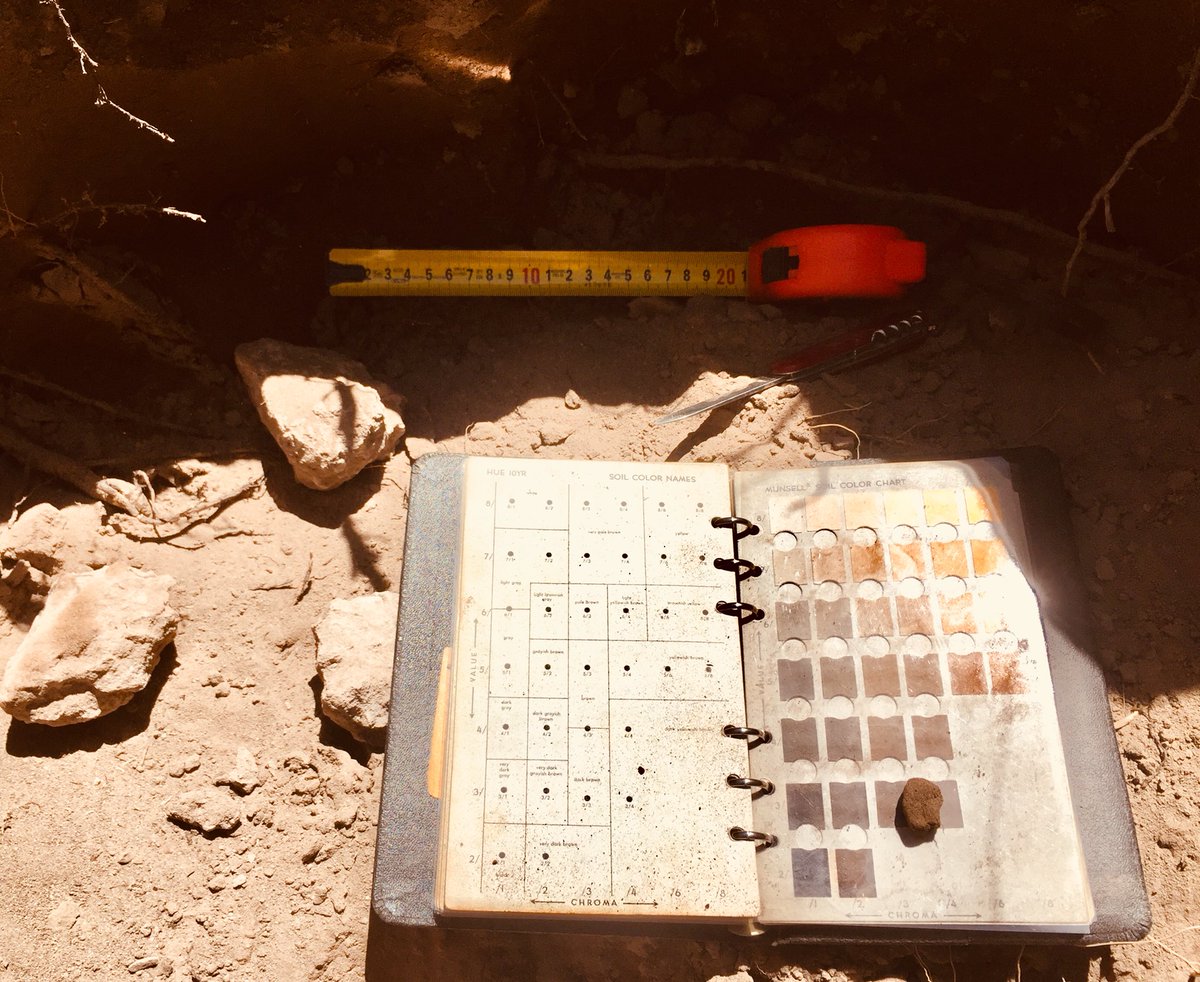 dani_mezzatesta's tweet photo. Excelente día para caracterizar parcelas en #Adriannavineyard #outsidelab ⛏⛏📝@CatenaMalbec https://t.co/qc21xynQm3