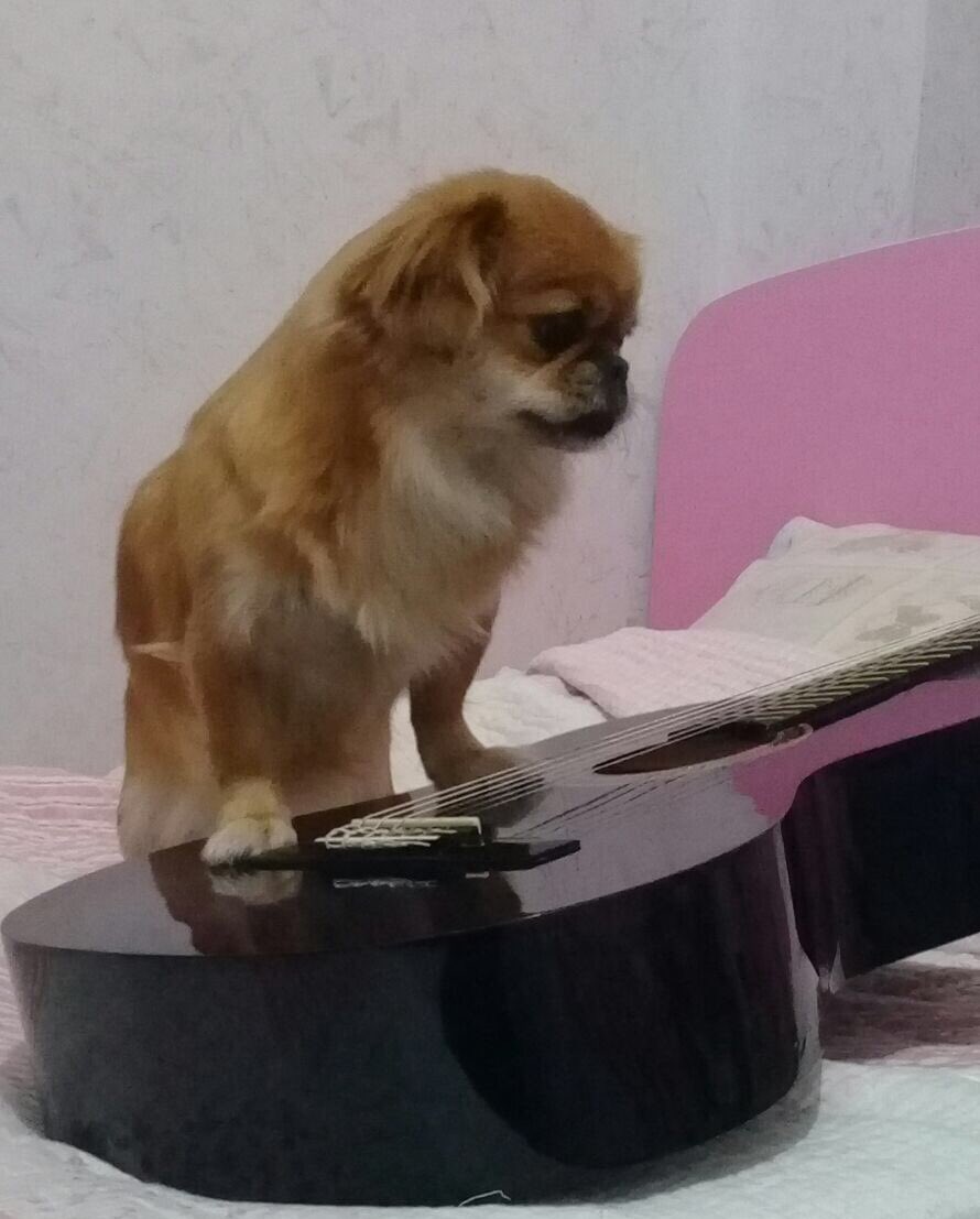 Nedemek gitar çalamam))