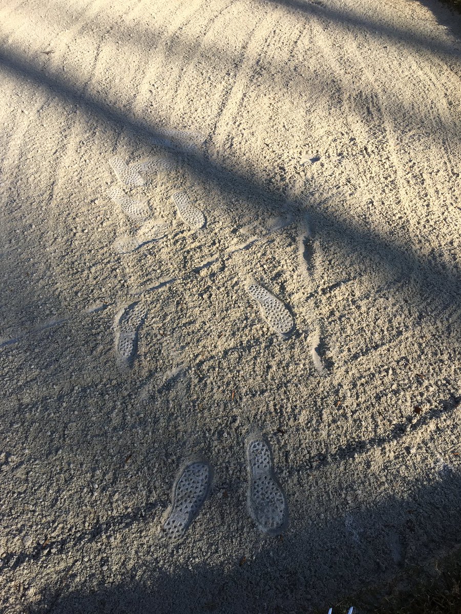 Toquagolf's tweet photo. Please do your part and rake bunkers after use. We spend the bulk of our resources this time of year on leaf work/ course cleanup and therefore cannot rake bunkers in total each day. #coursepride https://t.co/wenGtU0ejB