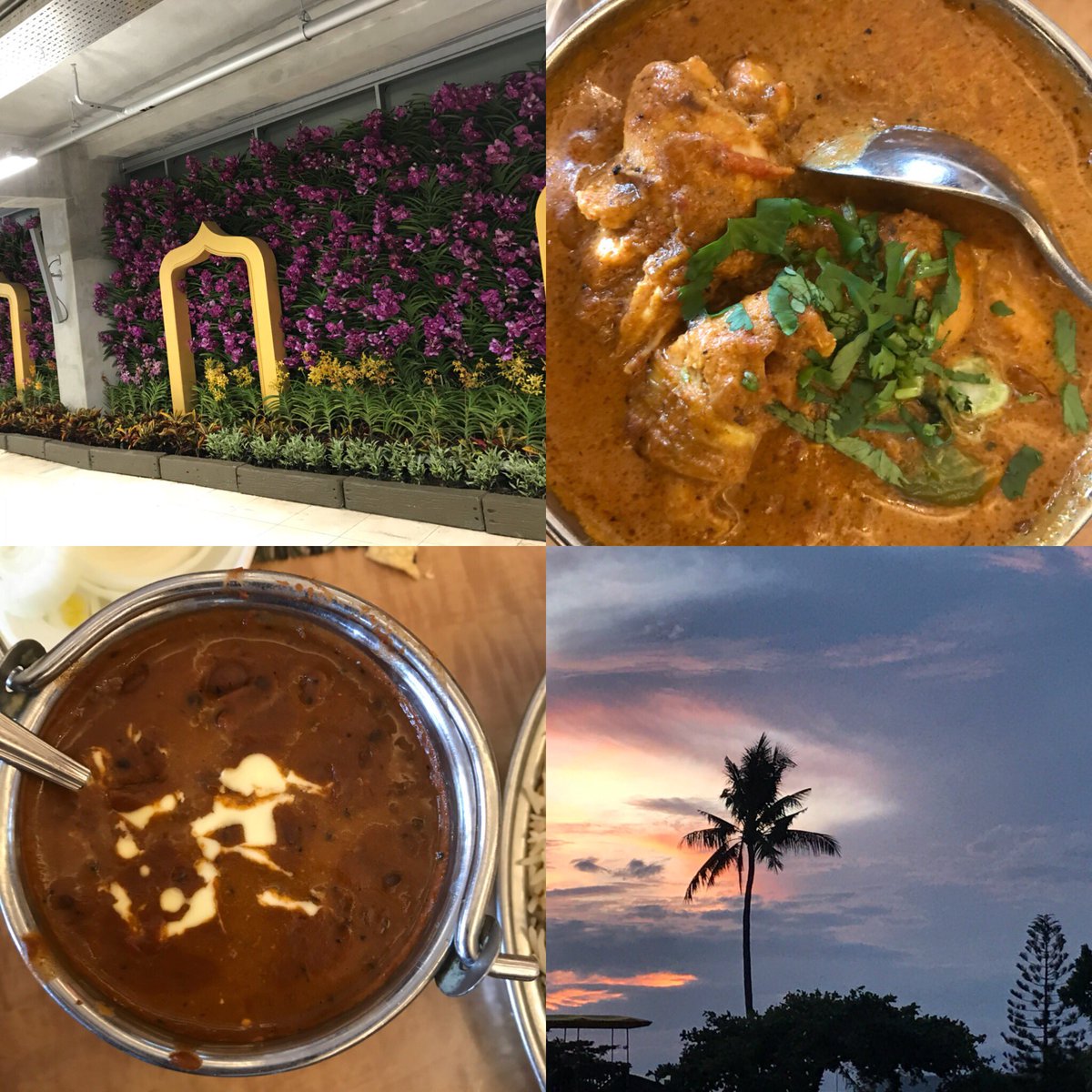 Viharin_Nidhikm's tweet photo. Enjoyed Indian cuisine @ restaurant The Queens from India #tfls #tflers #travel #travelguide #traveling #tourist #tourism
#travelbloggers #photography #photogrid #nature
#wanderlust #wanderer #ttot #TravelFollow4Follow @VITO.India @Ind.travel #VITOIndia #WonderfulIndonesia https://t.co/N2jvaXu87j