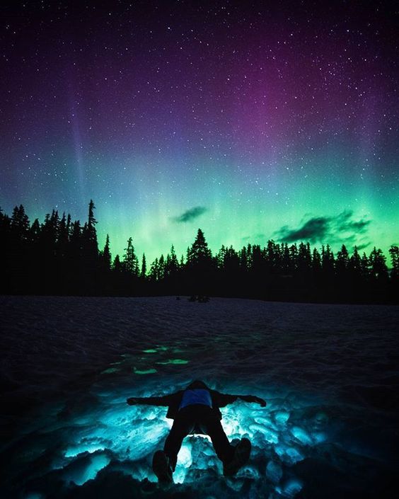namastayio's tweet photo. See the Northern Lights. Visit Vancouver with Namastay. 
#travelwell #traveloften #travel #vacation #northernlights #bucketlist
https://t.co/PBlgKijzLb https://t.co/SutkmSq8vg