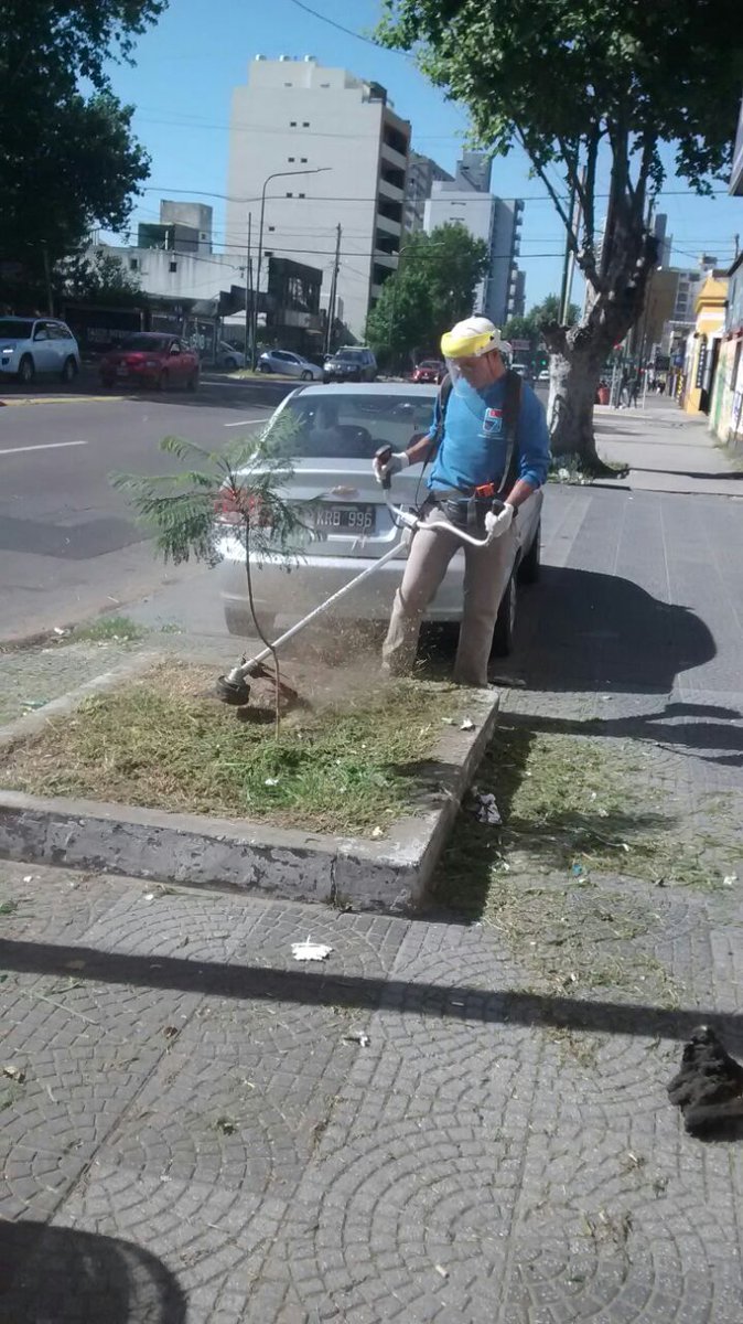 gastonlassalle's tweet photo. #LomasDeZamora Corte de césped, Barrido y Limpieza en #LomasEste #LomasEnMovimiento #SecretaríaDescentralizada @MunicipioLdeZ @minsaurralde @JuanStigliano https://t.co/71Ie7OQQ4L