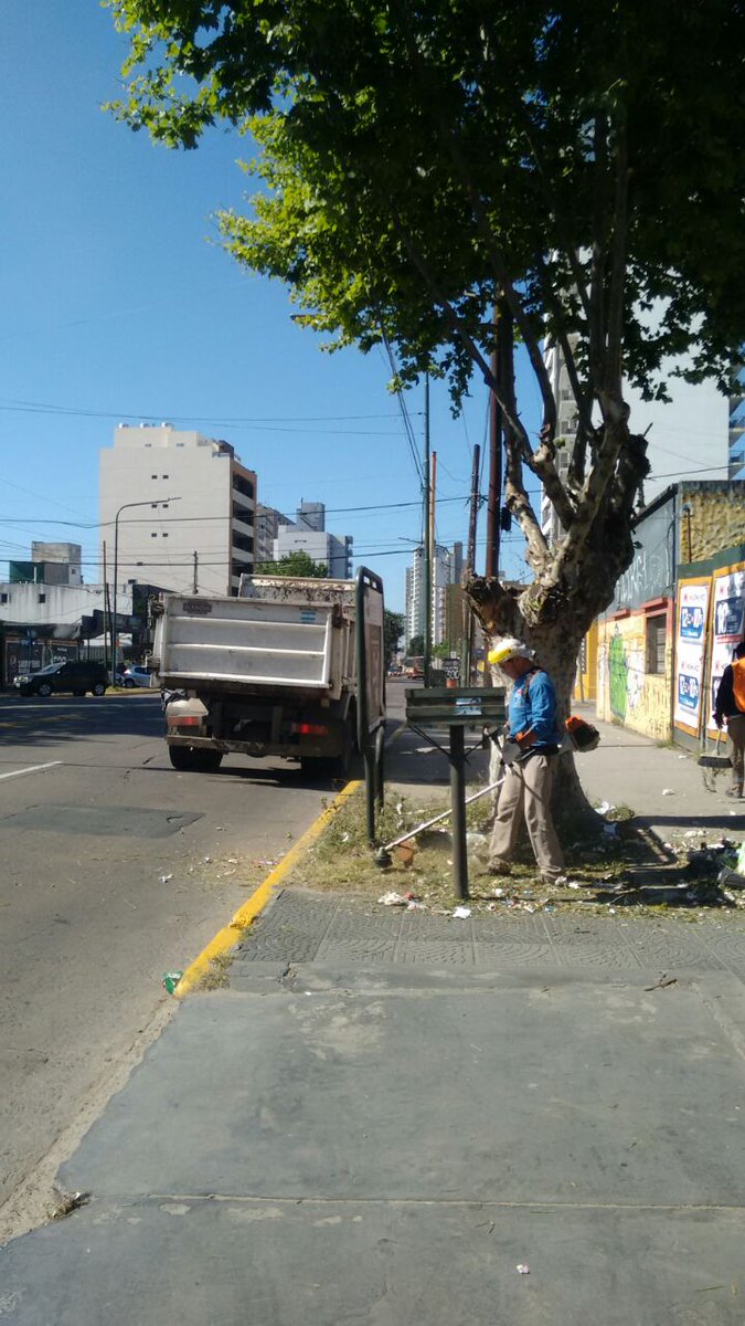 gastonlassalle's tweet photo. #LomasDeZamora Corte de césped, Barrido y Limpieza en #LomasEste #LomasEnMovimiento #SecretaríaDescentralizada @MunicipioLdeZ @minsaurralde @JuanStigliano https://t.co/71Ie7OQQ4L