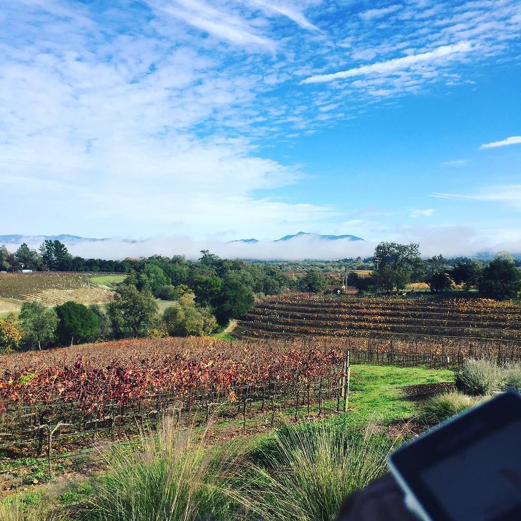 dynamicwatch's tweet photo. Exploring the #russianriver #winecountry #somomacounty at @macrostiewinery with @jdwineroad and @garminfitness .
.
#dwMap #garmin #vivoactive #forerunner #fenix #routeCourse #beatyesterday #dynamicWatch #strava https://t.co/KON4yLKVxk https://t.co/XNeFV3T1FS