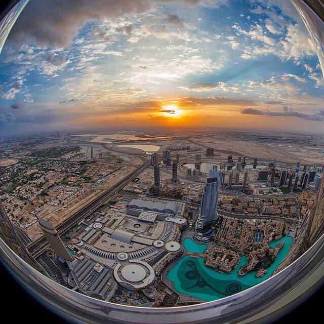 Dubai Mela tweet media