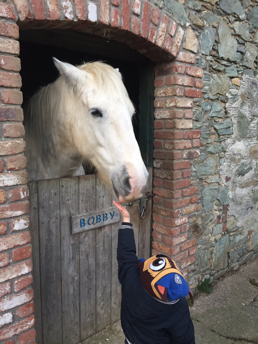 gianniponzi's tweet photo. Little man not too worried about the big beast. Watch the ears..... #telltalesign https://t.co/SvtziDvZvW