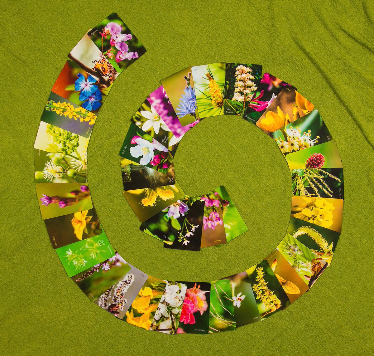 Jackie Stewart tweet media