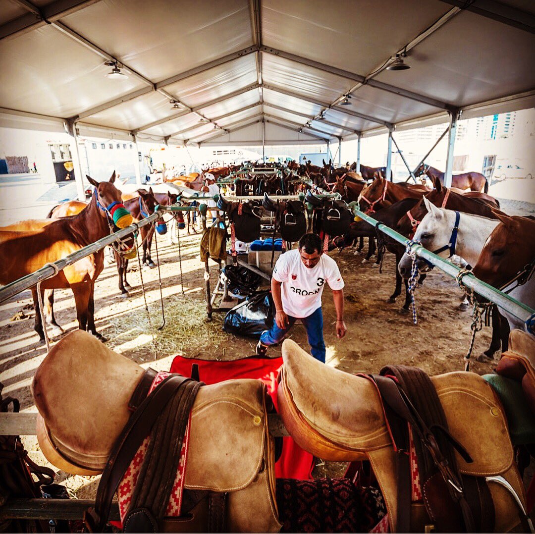 BeachPoloCup's tweet photo. Saddles? Check! Horses? Check! 3 more weeks till Beach Polo Cup 2017 presented by Nissan, December 14&amp;15. Tickets on sale now.
#bpcdxb #beachpolo #dubaipolo #polodubai #polo https://t.co/hrOQ9aZ9Dz