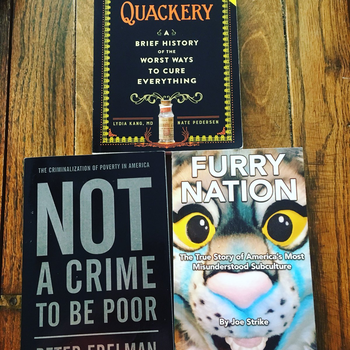 MarianLiberryan's tweet photo. Today my job is to read & review #FurryNation @JoeStrike @cleispress #NotACrimetobePoor @peterbedelman @thenewpress #Quackery @LydiaYKang @nate_pedersen @workmanupdate #readadv #nonfiction @IndiePicksMag https://t.co/ktEU9uwwLa