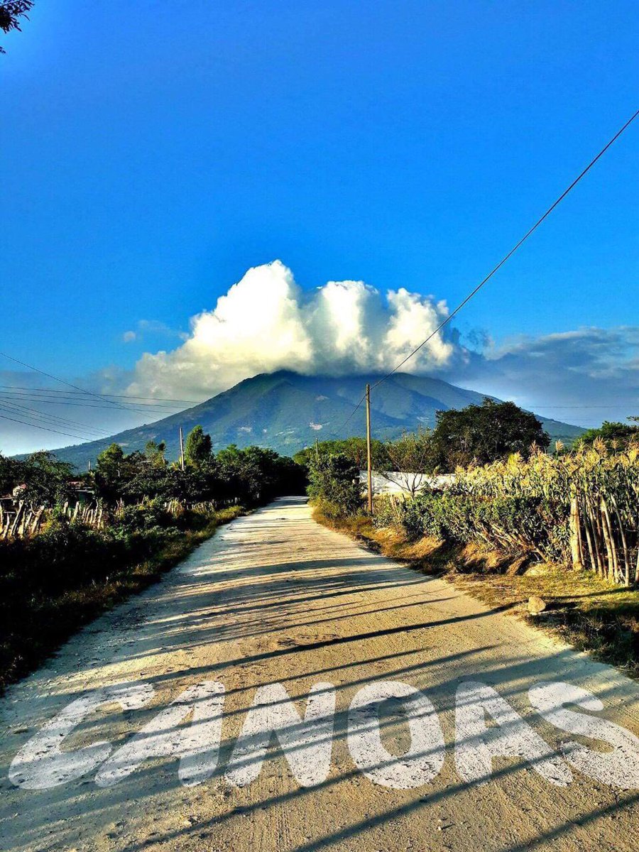 dany86papi's tweet image. 