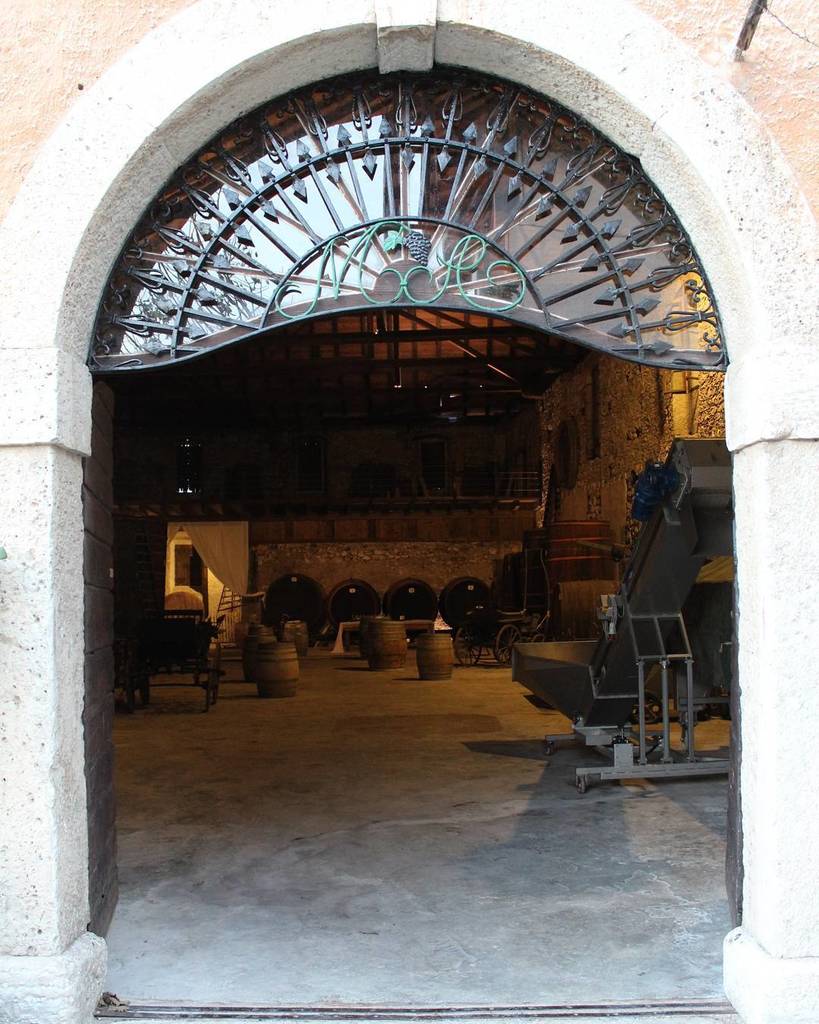 IgersTrentino's tweet photo. Oggi vi mostriamo la terza e ultima tappa del wine tour organizzato da @enjoy33.trentinoesperienze 🍷
Siamo nella bellissima cantina Martinelli, pronti per degustare un ottimo Teroldego! 
#framesofitaly #whatitalyis #browsingitaly #direzioneitalia #pr… https://t.co/FW16egqBmj https://t.co/1oUFzygKfD