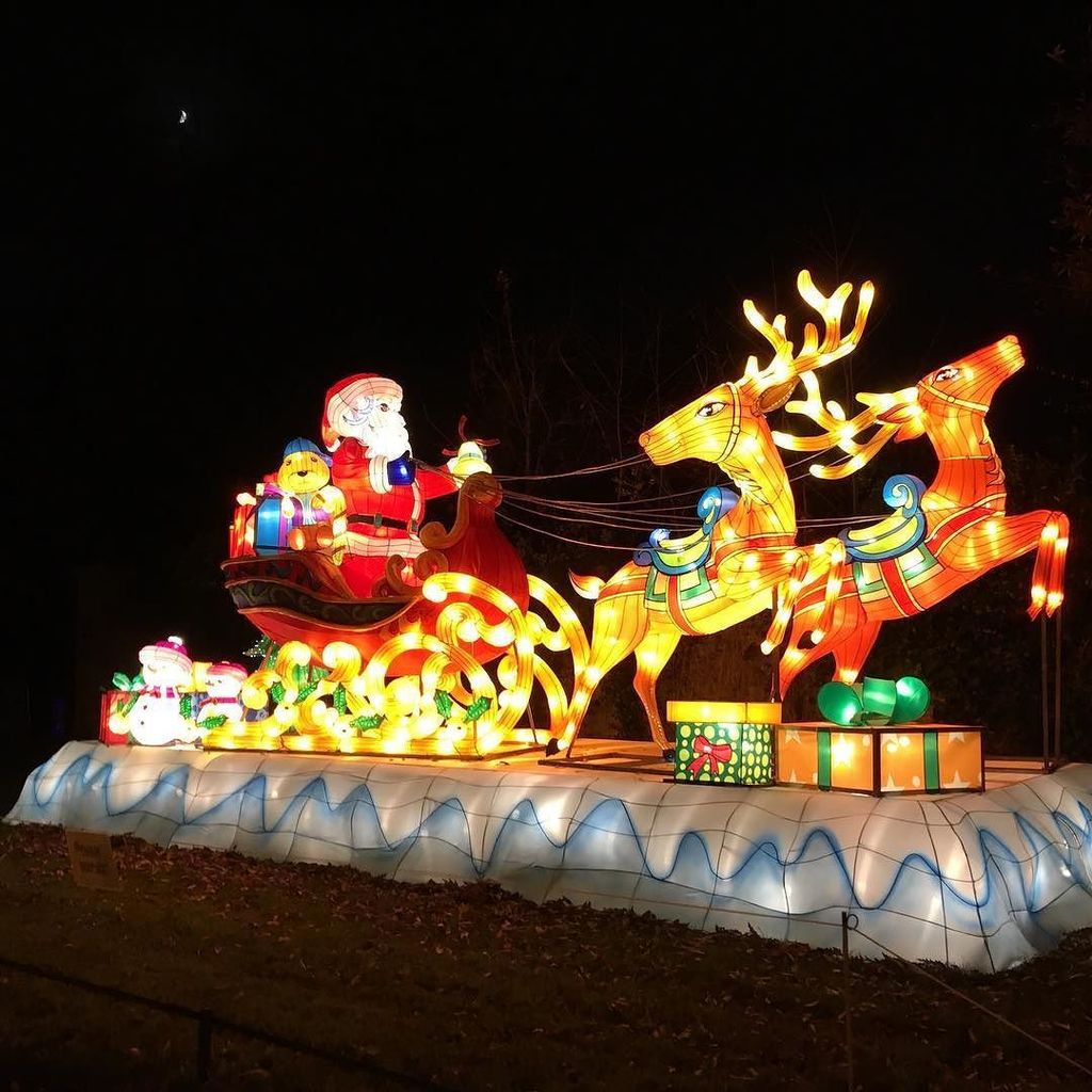 Arrived at <a href="/magicallantern/">Magical Lantern</a> #stunning #christmasishere