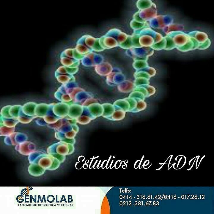 Genmolab's tweet photo. PRUEBAS DE PATERNIDAD Tienen como fin determinar el nexo biológico entre dos o más individuos, por el análisis de ciertas regiones del ADN. 
#genmolab #geneticaforense #biólogamolecular #laboratorio #genética #biología #perfilADN #filiaciónbiologica #genEGFR #cáncerdeplumón … https://t.co/ELaT0kymWU