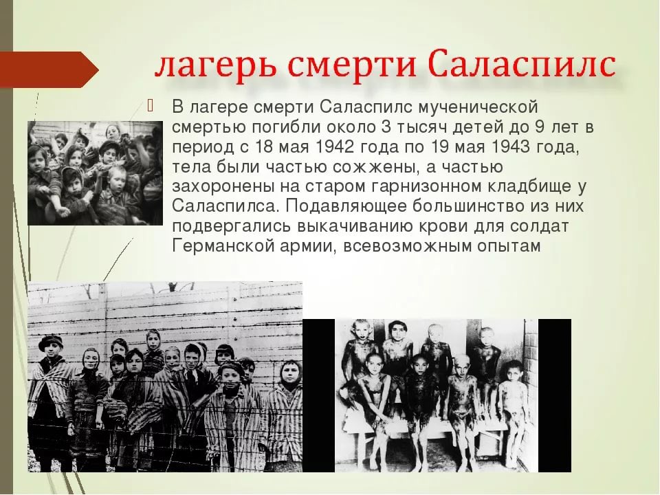 детский фашистский лагерь саласпилс. стихи о детях узниках концлагерей. лагерь смерти саласпилс. лагерь смерти саласпилс. концлагерь саласпилс великая отечественная.