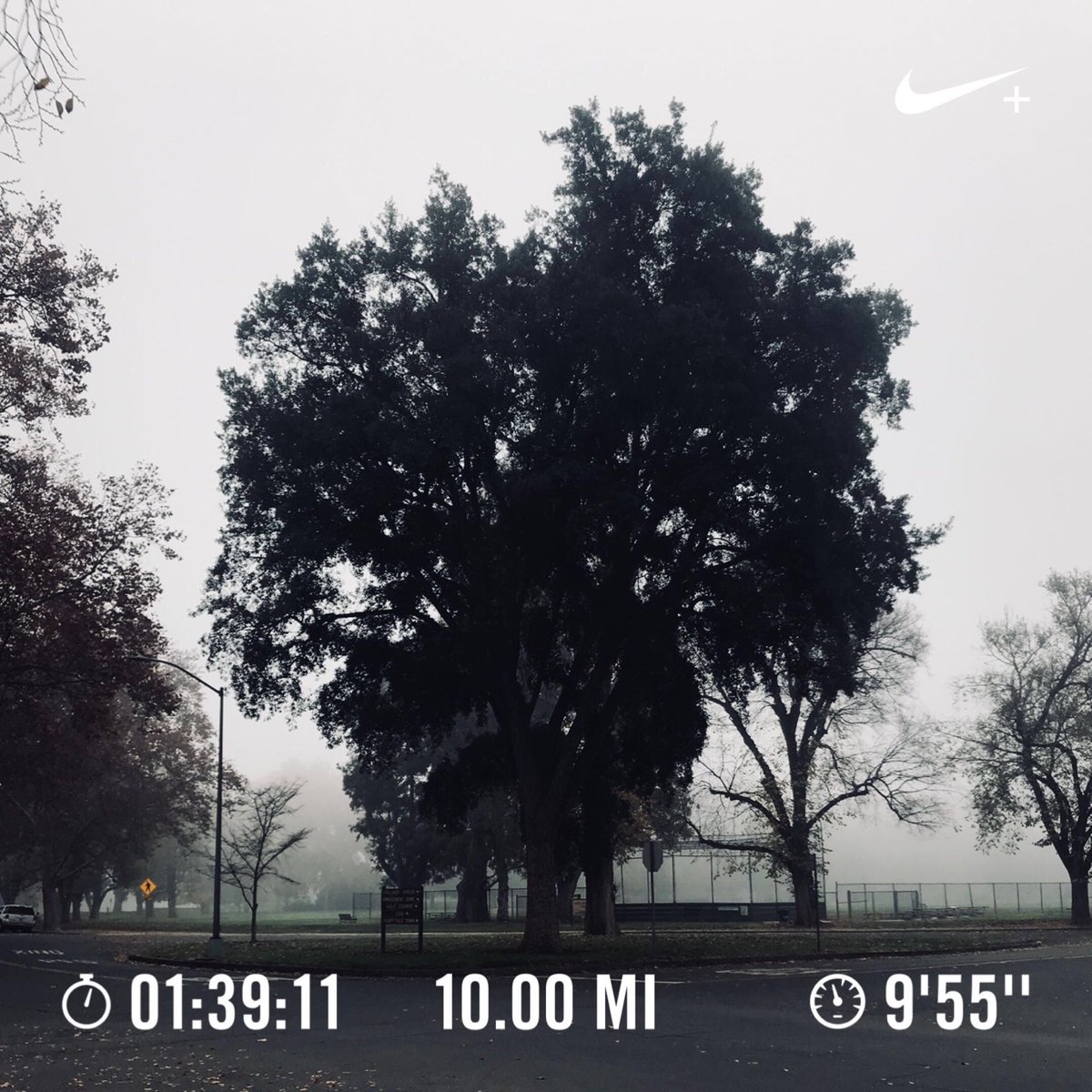 PariciaBee's tweet photo. 10 miles stronger! Today is bitter sweet.. this was my last long run on the training schedule.. next weekend is game day y’all.. 26.2! 😬Ran 10.00 miles with Nike⁠ Run Club #cimtraining #cim2017 #marathontraining https://t.co/a8Iq1VPl5J