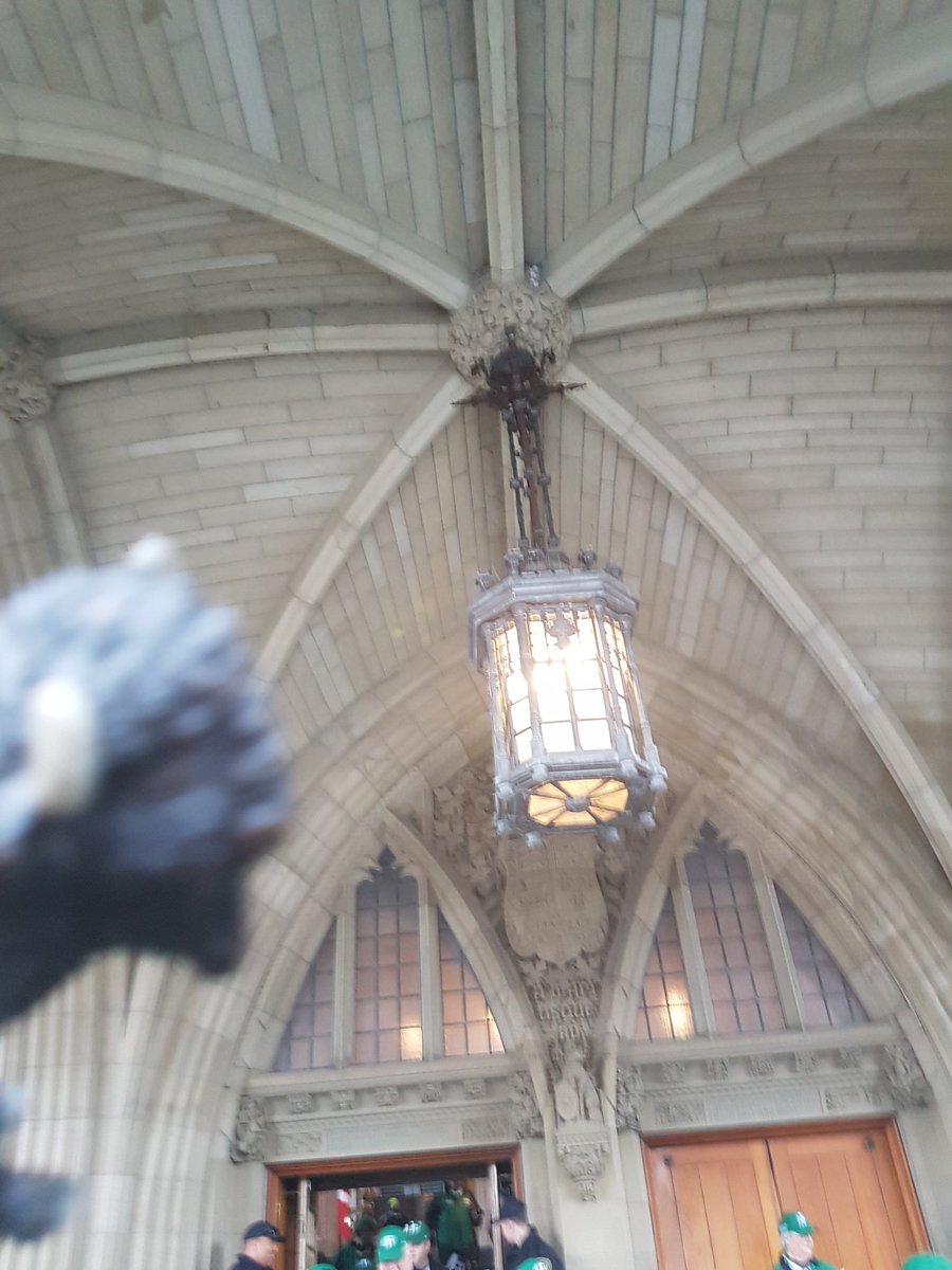 SC_Museum's tweet photo. They were finally willing to #FreeTweetBison when I was willing to attest that I was leaving the building. So today #TweetBison saw the door, the exterior hill, and the inside of a pouch. https://t.co/s7A98PtNB0