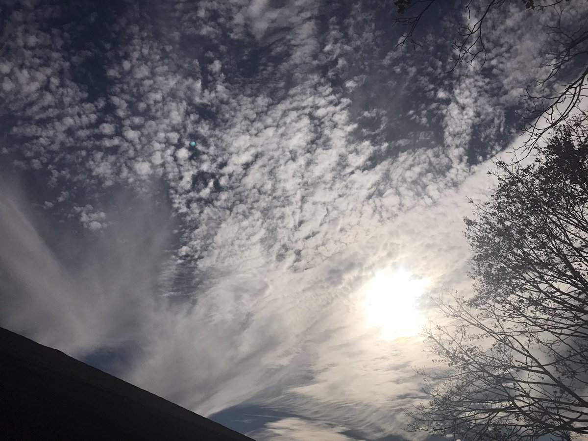 mich12420's tweet image. Every once in a while it's nice to look up. #thingsarentsobad #beautifulday